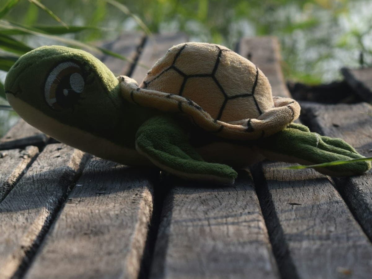 A green plush turtle with an embroidered shell, resting on a weathered wooden deck.